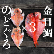 金目鯛とのどぐろ★高級魚干物セット★3セット 金目鯛3P.のどぐろ3P(3-6尾) 果物や野菜などのお取り寄せ宅配食材通販産地直送アウル