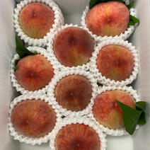 桃　山梨の桃　【特大桃】　４ｋｇ 4ｋｇ（９－１１玉） 果物や野菜などのお取り寄せ宅配食材通販産地直送アウル