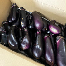 【規格外品･当日採れたて】果皮が柔らかいナス☆料理に最適☆ 10kg 果物や野菜などのお取り寄せ宅配食材通販産地直送アウル