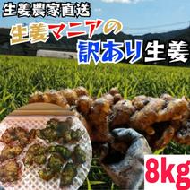 生姜マニアが作る！土佐の大生姜8㎏～訳あり品　高知県産 大生姜8㎏ 果物や野菜などのお取り寄せ宅配食材通販産地直送アウル