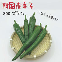 青唐辛子（野菜＞スパイス）の産地直送商品一覧（通販・お