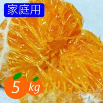 【家庭用】甘平 5kg ギッシリ果肉のシャキシャキ食感♡愛媛限定高級柑橘♫愛媛みかん！！ 5kg(箱込み) 果物や野菜などのお取り寄せ宅配食材通販産地直送アウル