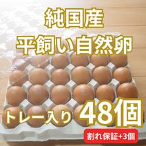 【トレー入り｜合計51個（48個+割れ保障3個）】とれたて純国産平飼い自然卵（有精卵）全て国産・添加物／保存料不使用｜大自然の恵みをそのまま提供 51個 果物や野菜などのお取り寄せ宅配食材通販産地直送アウル