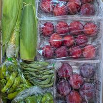 すももと野菜セット スモモ1.5kg、インゲン90g、ピーマン200g、シシトウ140g、トウモロコシ800gの詰め合わせです。 果物や野菜などのお取り寄せ宅配食材通販産地直送アウル