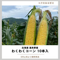 コクあま！とうもろこし2L 10本 スイートコーン 北海道 富良野産 10本 果物や野菜などのお取り寄せ宅配食材通販産地直送アウル