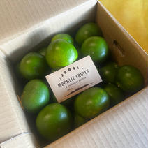 にしだ果樹園の月読み青みかん　MサイズBOX【アウルの日】 3kg 果物や野菜などのお取り寄せ宅配食材通販産地直送アウル