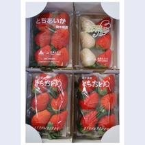 【産直ギフト】とちぎのいちご４種類の食べ比べ❤️白いちご入り！ ４種のいちご食べ比べセット 果物や野菜などのお取り寄せ宅配食材通販産地直送アウル