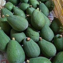 奇跡の国産(愛媛アボカド) 約１キロ 果物や野菜などのお取り寄せ宅配食材通販産地直送アウル