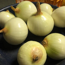 皮むき玉ねぎ1キロ 1キロ 果物や野菜などのお取り寄せ宅配食材通販産地直送アウル