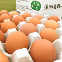 期間限定【ちょっと小さめ赤たまご50個】 50個（25個入り紙トレイで2段） 果物や野菜などのお取り寄せ宅配食材通販産地直送アウル