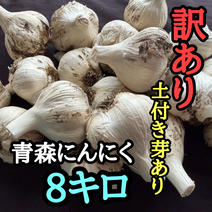 千葉県産 ニンニク 20kg 土付き 【公式通販】