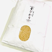 令和6年 京都【丹波産】コシヒカリ 玄米 -特別栽培米- “星ひかり” 5kg 果物や野菜などのお取り寄せ宅配食材通販産地直送アウル