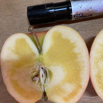 蜜入りチェック済み‼️超遅もぎ樹上完熟蜜入り葉取らずこうとく約 2キロ9-12玉 約 2キロ9-12 果物や野菜などのお取り寄せ宅配食材通販産地直送アウル