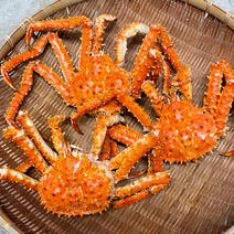 北海道えりも沖蒸しタラバカニ(生で1kg)3杯 3杯 果物や野菜などのお取り寄せ宅配食材通販産地直送アウル