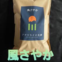 新米　令和6年長野県東御市産風さやか　白米　10kg 10kg（5kg×2） 果物や野菜などのお取り寄せ宅配食材通販産地直送アウル