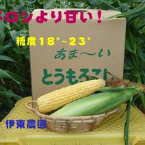 夏の恵(サニーショコラ)メロン🍈より甘い! 10本入 果物や野菜などのお取り寄せ宅配食材通販産地直送アウル