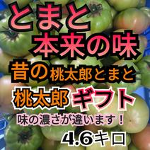 野菜の産地直送食材一覧（通販・お取り寄せ）-産直アウル