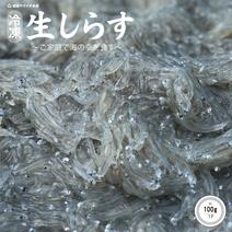 【鮮度◎】水揚げ急速冷凍★生しらす(期間限定発売） お刺身用生しらす×2P 果物や野菜などのお取り寄せ宅配食材通販産地直送アウル