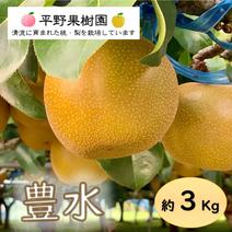 清流球磨梨・豊水　3kg箱(3〜7個入り) 約3kg 果物や野菜などのお取り寄せ宅配食材通販産地直送アウル