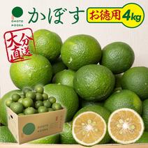 【お徳用・訳あり品】大分県宇佐市産かぼす約4kg 徳用種ありかぼす4kg 果物や野菜などのお取り寄せ宅配食材通販産地直送アウル