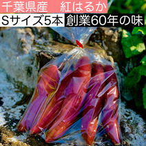 さつまいも (紅はるか) 　A級　Sサイズ　5本入りパック[送料込み] 750g 果物や野菜などのお取り寄せ宅配食材通販産地直送アウル