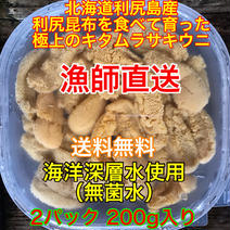 （実質送料無料）キタムラサキウニ（北海道利尻島産）2パック 200g 2パック200g 果物や野菜などのお取り寄せ宅配食材通販産地直送アウル