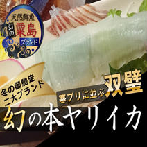 🐟海の幸の代表格ヤリイカ🐟【2025年3月上中旬】発送☆日本海の恩恵を最大限享受した粟島ブランド天然国産ヤイリカ刺身用カット ヤリイカ刺身約200g 果物や野菜などのお取り寄せ宅配食材通販産地直送アウル