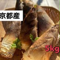 季節限定　京都産　柔らかい　たけのこ　5kg クール便 5kg  果物や野菜などのお取り寄せ宅配食材通販産地直送アウル