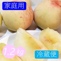 《冷蔵便》【家庭用】桃 1.2kg (5～7玉) 愛媛県産 5～7玉 果物や野菜などのお取り寄せ宅配食材通販産地直送アウル
