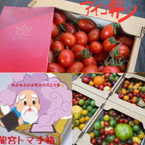 龍宮アイコ＆トマ手箱 2キロ 果物や野菜などのお取り寄せ宅配食材通販産地直送アウル
