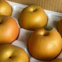愛情たっぷり【豊水梨】箱込み2ｋｇ（5～6個） 箱込み約2ｋｇ 果物や野菜などのお取り寄せ宅配食材通販産地直送アウル