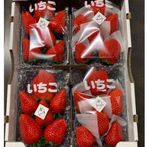 ★大粒＆食べ比べ★きらぴ香＆紅ほっぺ 食べ比べ（4パック入り） 1,120g（280g × 4パック） 果物や野菜などのお取り寄せ宅配食材通販産地直送アウル