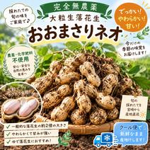 落花生の産地直送食材一覧（通販・お取り寄せ）-産直アウル