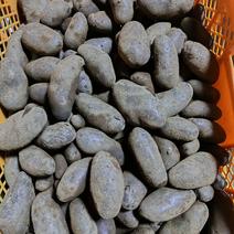 茨城県産　じゃがいも　シャドークイーン 10kg 果物や野菜などのお取り寄せ宅配食材通販産地直送アウル