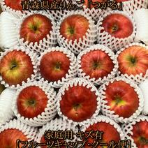 青森県産りんご 「つがる」家庭用 キズ有 約5kg【フルーツキャップ・クール便】 5kg 果物や野菜などのお取り寄せ宅配食材通販産地直送アウル
