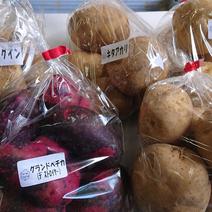 じゃがいも　食べ比べ5種類セット+玉ねぎ じゃがいも800g5種類 玉ねぎ1kg2袋 果物や野菜などのお取り寄せ宅配食材通販産地直送アウル