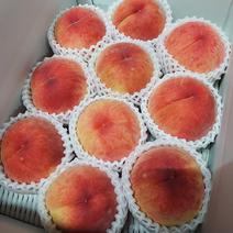 granyuu-farmの桃 あかつき桃8玉〜10玉（大きさで異なります 果物や野菜などのお取り寄せ宅配食材通販産地直送アウル