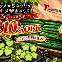 きゅうりの産地直送食材一覧（通販・お取り寄せ）-産直アウル