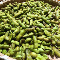令和6年産京都丹波黒大豆枝豆莢取り2kg 約2kg 果物や野菜などのお取り寄せ宅配食材通販産地直送アウル