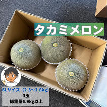 超特大　タカミメロン　6Lサイズ　 3玉 6.9kg以上 果物や野菜などのお取り寄せ宅配食材通販産地直送アウル