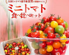 今シーズントマト終了のお知らせ📢