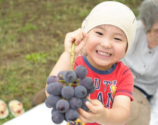 一足早い🍇家族で試食会😊