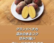グランドペチカの再販を始めます😊
