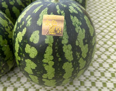 金色羅皇　高糖度の黄色いスイカ出品しました🍉