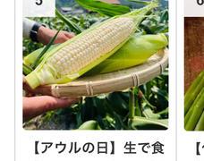 注文に関する大切なお知らせ✨✨