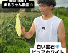 まるちゃん農園🌾の白い宝石💎ピュアホワイトと桃🍑の予約開始致しました！