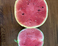 甘〜い!スイカ🍉とメロン🍈