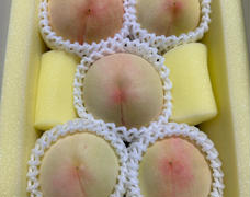桃の初出荷🍑