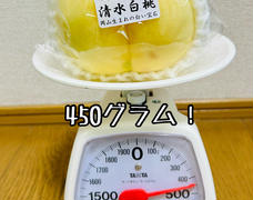 🍑✨まさかの450g！✨🍑