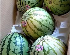 小玉スイカ🍉  ５個